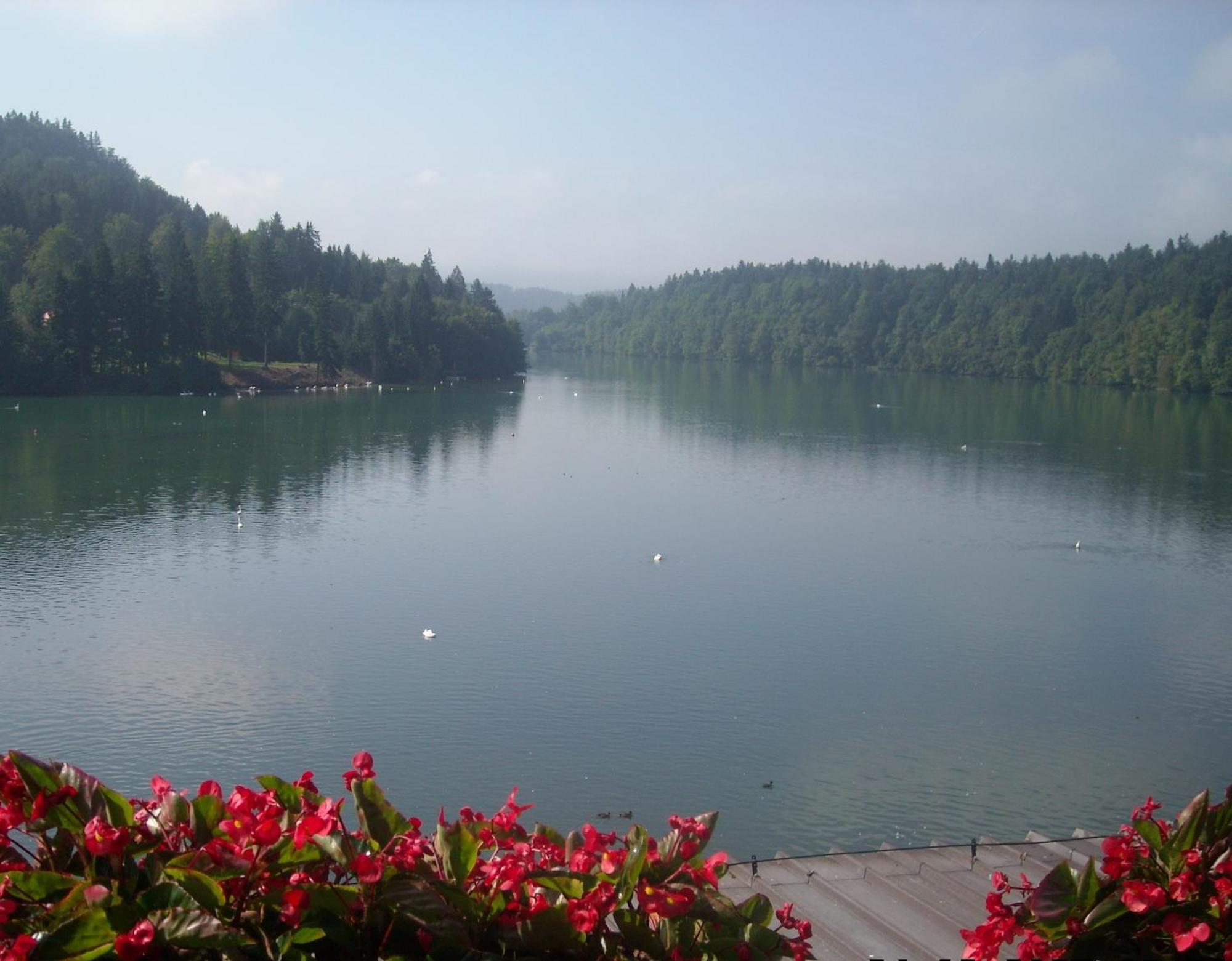 Gostisce Jezero Bed & Breakfast Medvode Ngoại thất bức ảnh